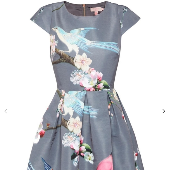 Ted Baker London Dresses & Skirts - NWT Ted Baker Flight of the Orient Dress